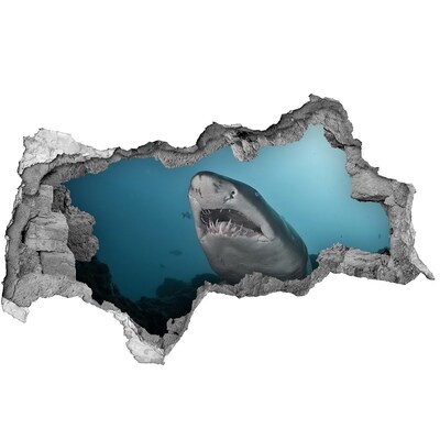 Hole in the wall decal Shark in the underwater world
