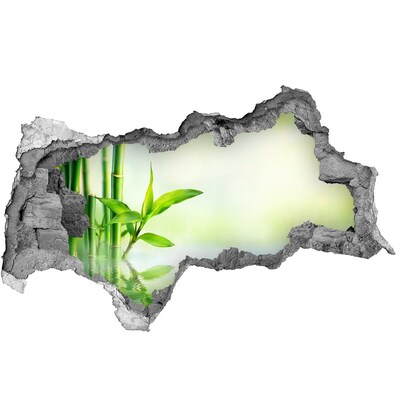 Hole wall sticker Green paradise with bamboo