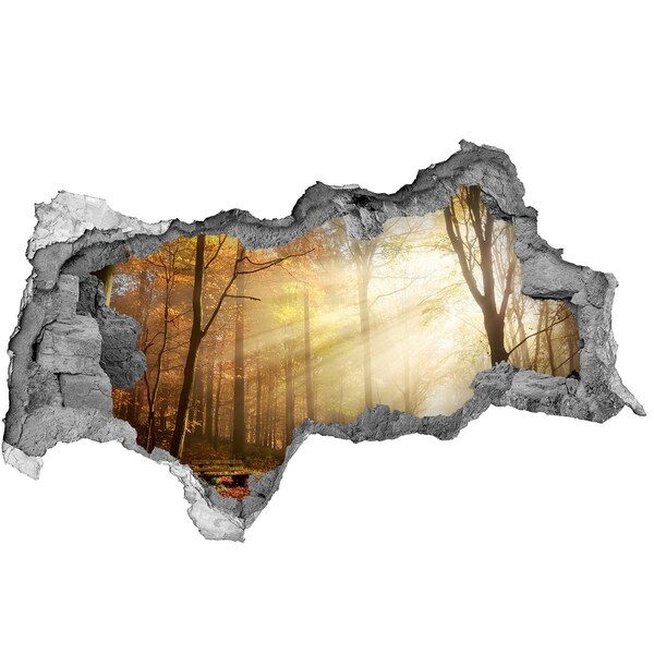 Hole in the wall decal Golden forest in the sun's rays