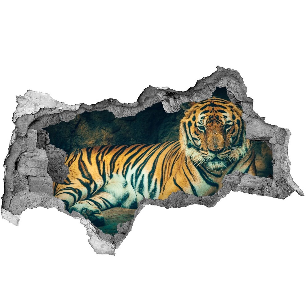 Hole wall sticker Tiger in a cave