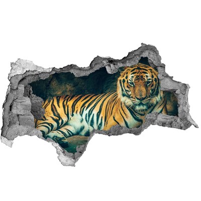 Hole wall sticker Tiger in a Hole in the Wall