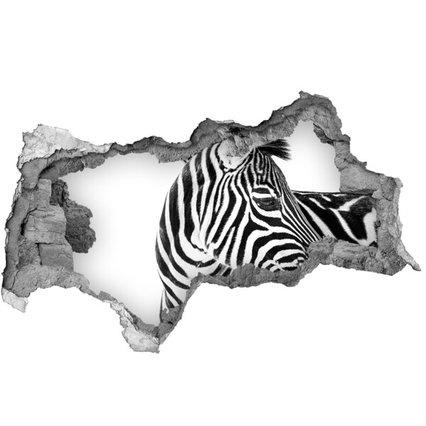 Hole wall sticker Zebra in a hole in the wall