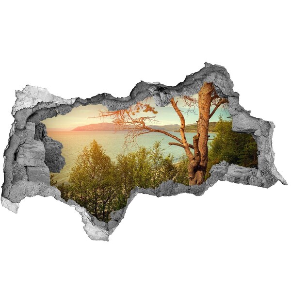 Hole wall sticker View of the lake with a tree