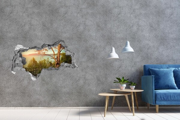 Hole wall sticker View of the lake with a tree