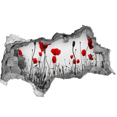 Hole in the wall decal Flowers in the ruins