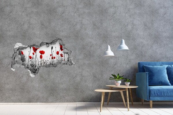 Hole in the wall decal Macs