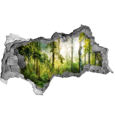 Hole in the wall decal Morning sun forest