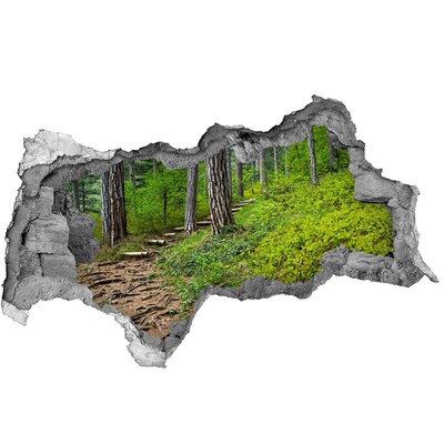 Hole wall sticker Forest track