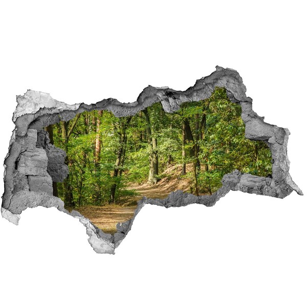 Hole in the wall decal Forest track