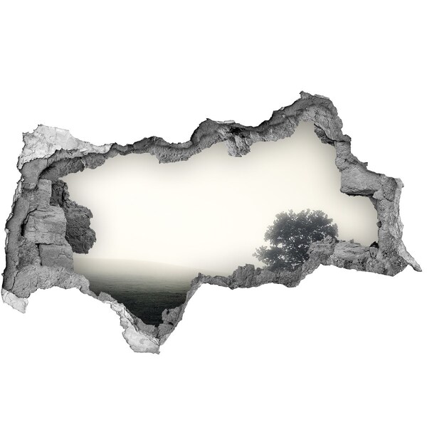 Hole wall sticker A misty clearing with a lonely tree