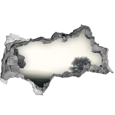 Hole wall sticker A misty clearing with a lonely tree