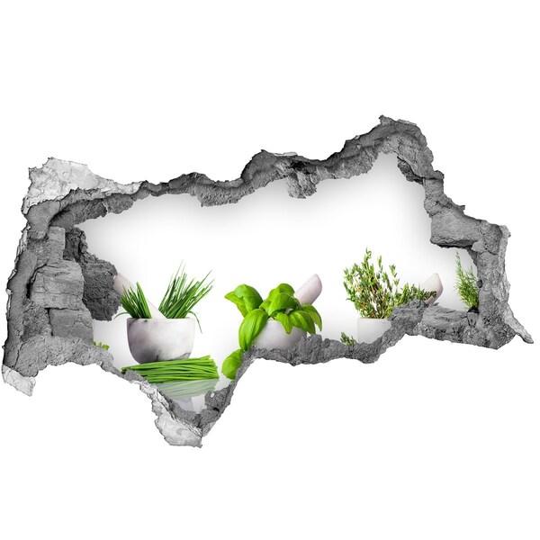 Hole in the wall sticker Green garden with herbs