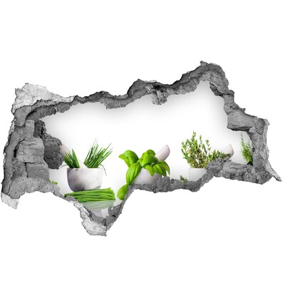 Hole in the wall sticker Green garden with herbs