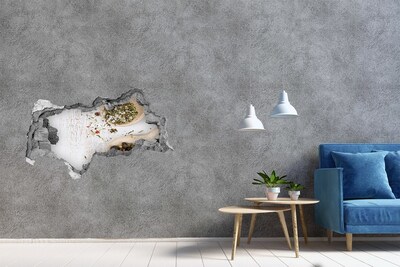 Hole in the wall decal Spice explosion