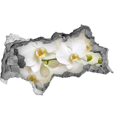 Hole wall sticker Orchids in concrete