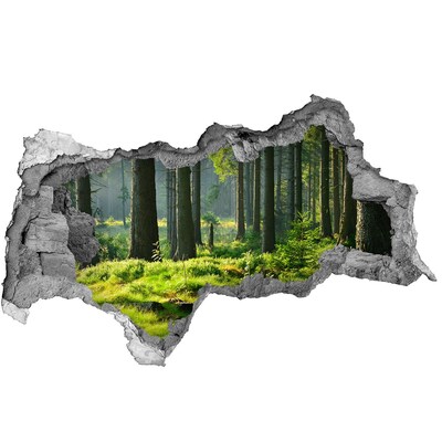 Hole wall sticker Green forest in the sun's rays