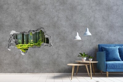 Hole wall sticker Spruce forest