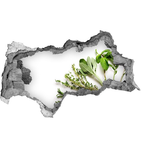 Hole wall sticker Herb garden in concrete