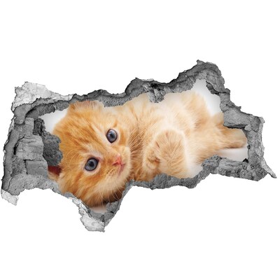 Hole in the wall sticker Red Cat