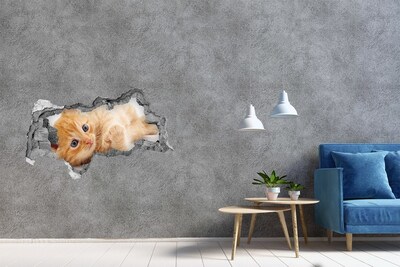 Hole in the wall sticker Red Cat