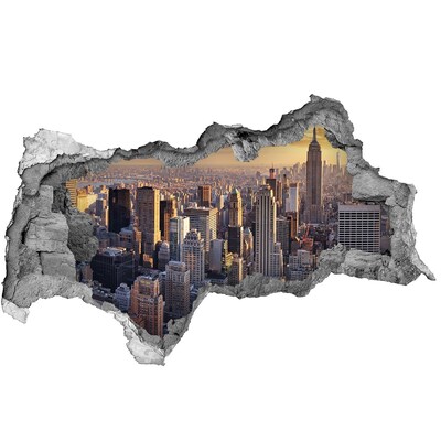 Hole in the wall decal View of New York