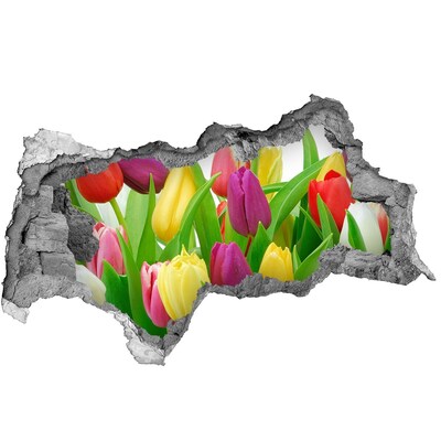 Hole wall sticker Colorful tulips