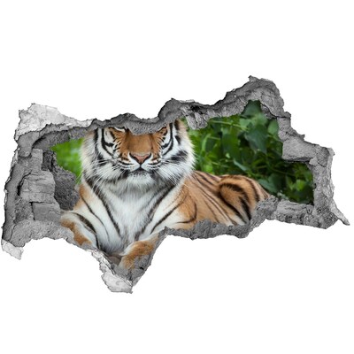 Hole wall sticker Tiger in its natural habitat