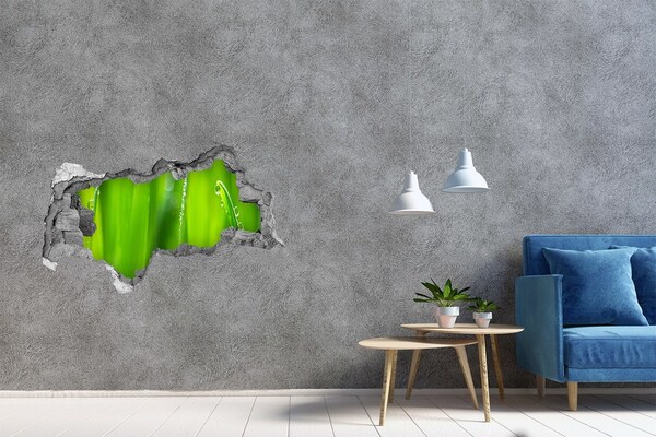 Hole in the wall sticker Green meadow with drops of water