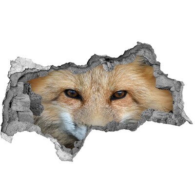 Hole in the wall sticker The Fox in the Hole in the Wall