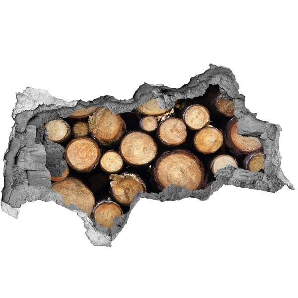 Hole wall sticker Wood in a hole in the wall