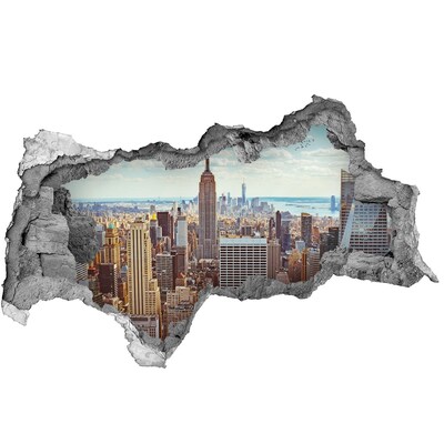 Hole wall sticker New York Bird Lot