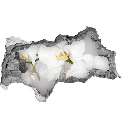 Hole in the wall sticker Orchid