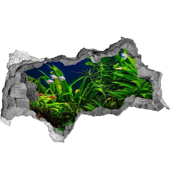 Hole in the wall decal The underwater world in the aquarium