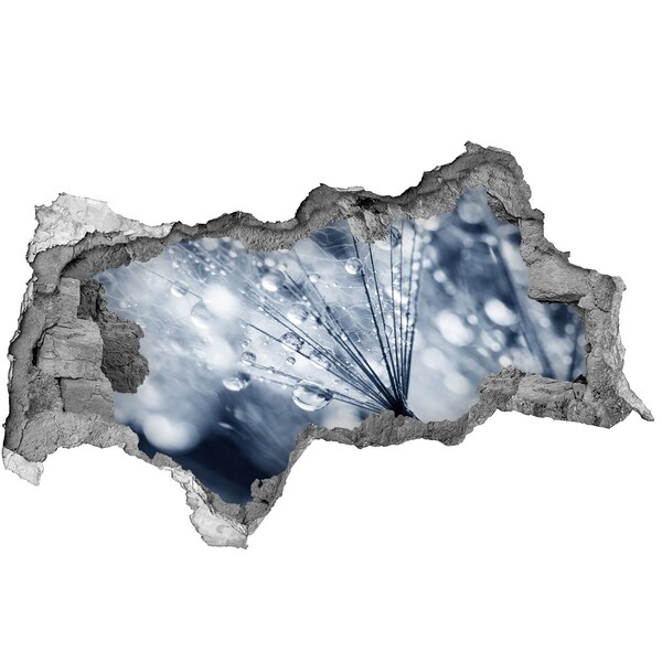 Hole wall sticker Dew drops on a dandelion