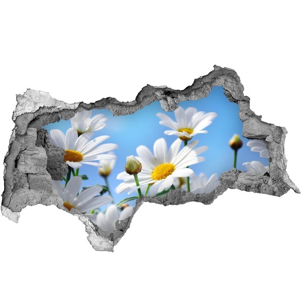 Hole in the wall decal A flower paradise behind the wall