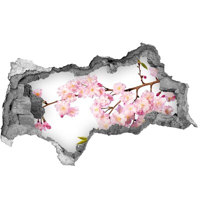 Hole in the wall decal Blossom cherry tree in a hole in the wall