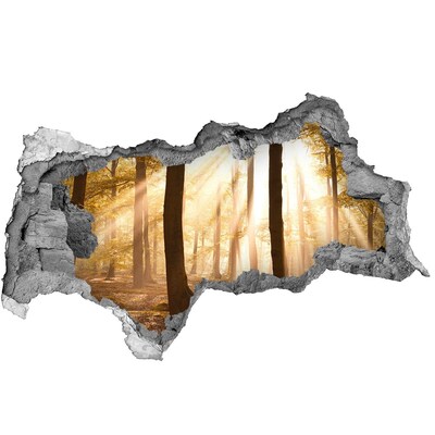 Hole wall sticker Golden rays in the forest