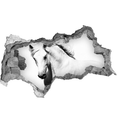 Hole in the wall decal White Horse in a Hole in the Wall