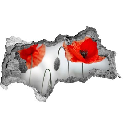 Hole in the wall sticker Flowers in a hole in the wall