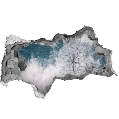 Hole in the wall decal Winter trees