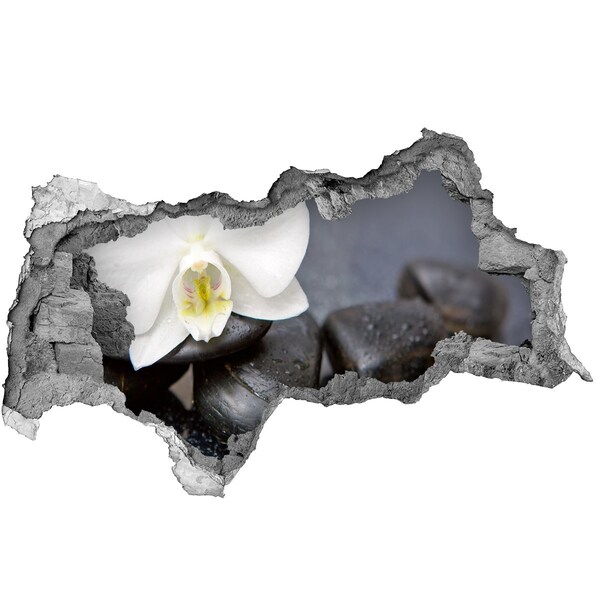 Hole wall sticker Orchid