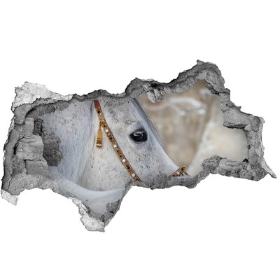 Hole in the wall decal A horse in an elegant bridle