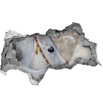 Hole in the wall decal White Arabian horse