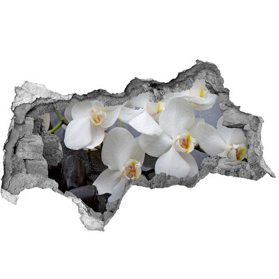 Hole wall sticker Orchid flowers in water