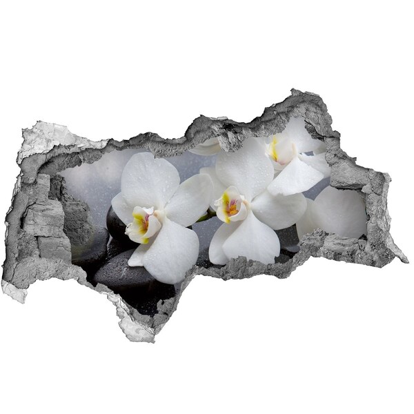 Hole in the wall sticker Orchids in concrete