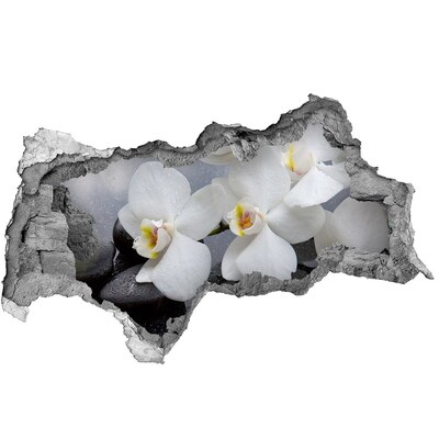 Hole in the wall sticker Orchids in concrete