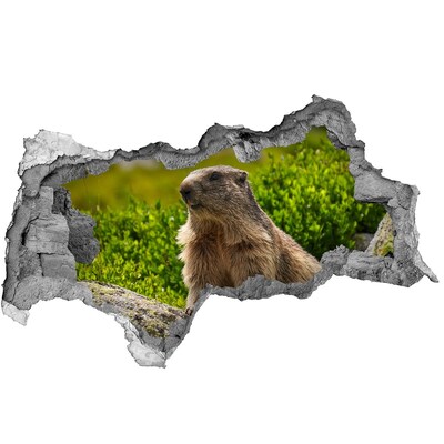 Hole in the wall decal Marmot in the wild