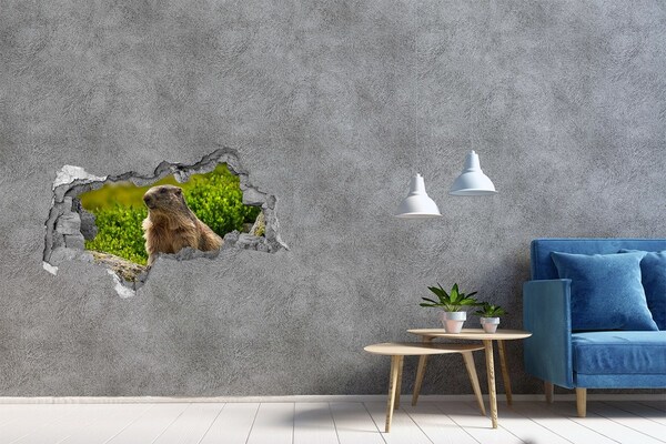 Hole in the wall decal Marmot in the wild