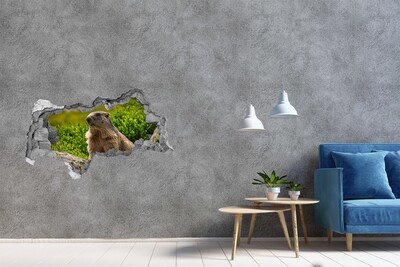 Hole in the wall decal Marmot in the wild