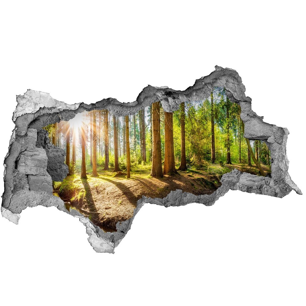 Hole in the wall sticker Panorama of the forest